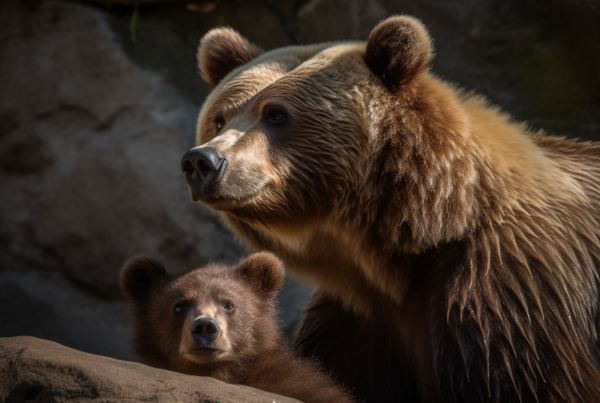 bear cub and mother