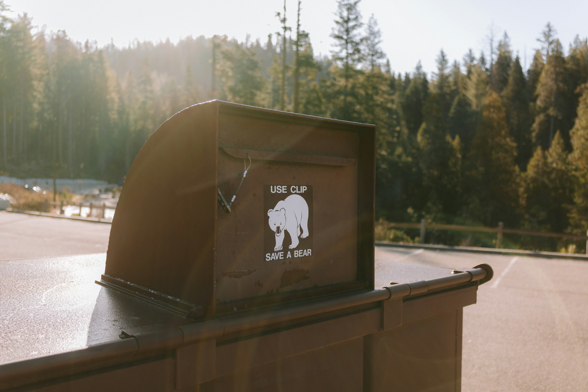 bear safe trash